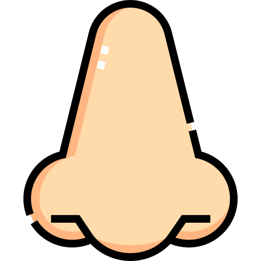 nose